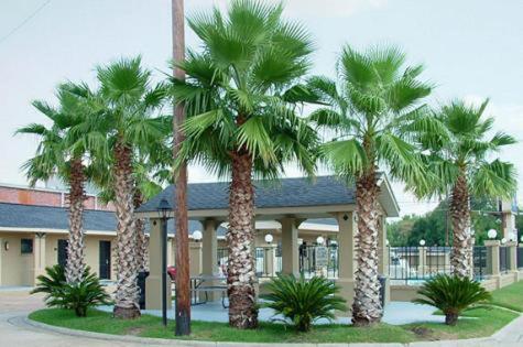 Budget Inn Monroe Ngoại thất bức ảnh